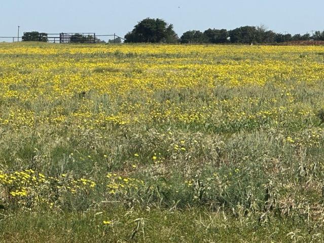 Land for sale in Knox, Texas