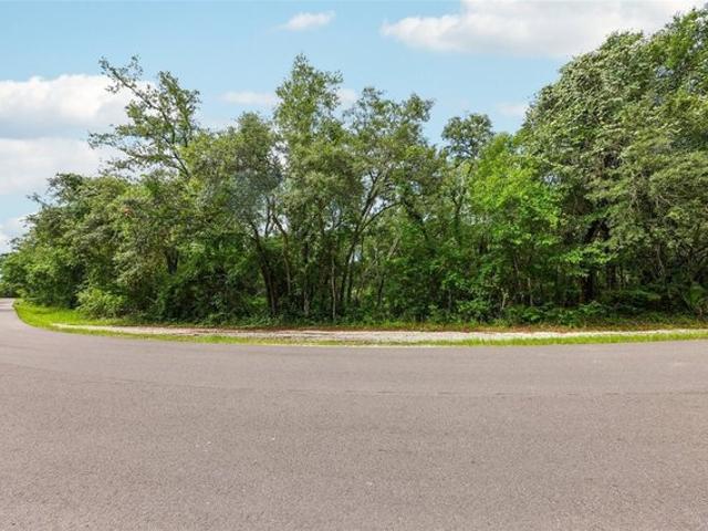 Land for sale in Webster, Florida