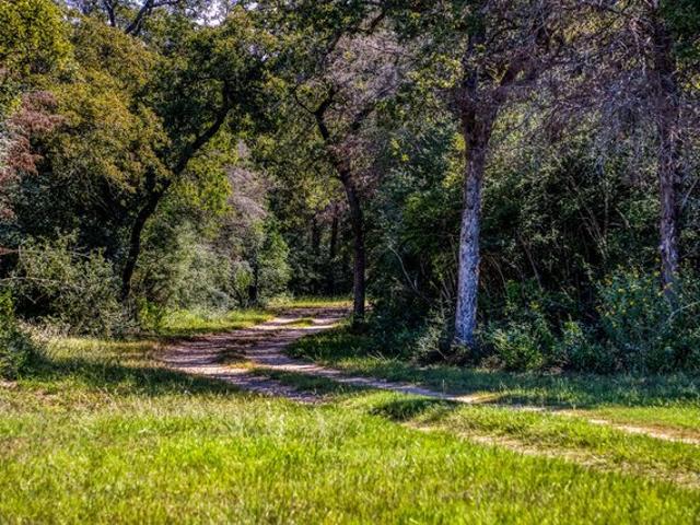 Farm for sale in Lexington, Texas