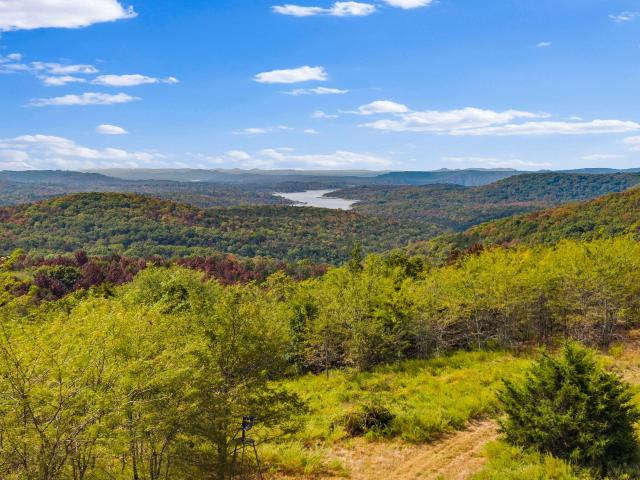Land for sale in Galena, Stone County