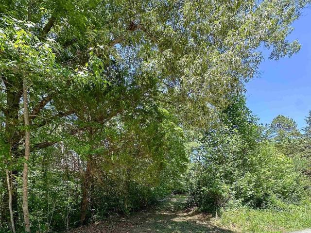 Land for sale in Virginia