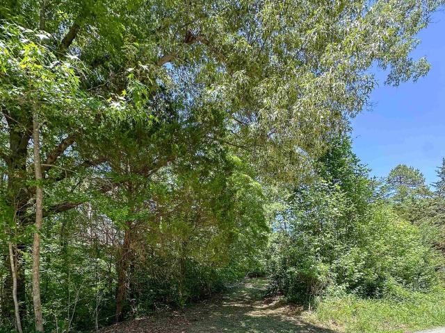 Land for sale in Virginia