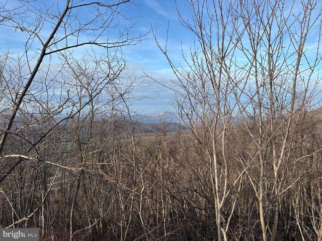 Land for sale in Hardy, West Virginia