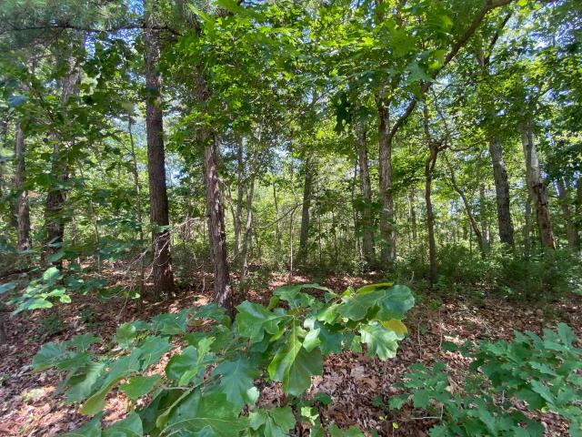 Land for sale in Ewan, New Jersey