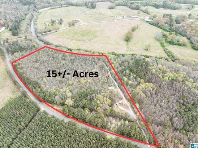 Land for sale in Woodland, Alabama