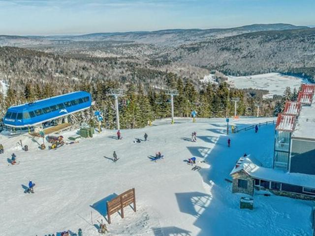 Condo for sale in Snowshoe, West Virginia