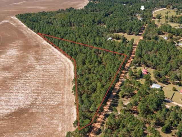 Land for sale in Pelion, Lexington County