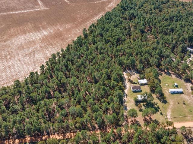 Land for sale in Pelion, Lexington County
