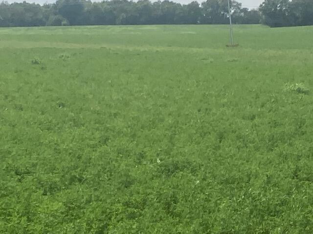 Farm for sale in Cynthiana, Bourbon County