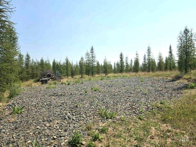 Land for sale in Orofino, Idaho