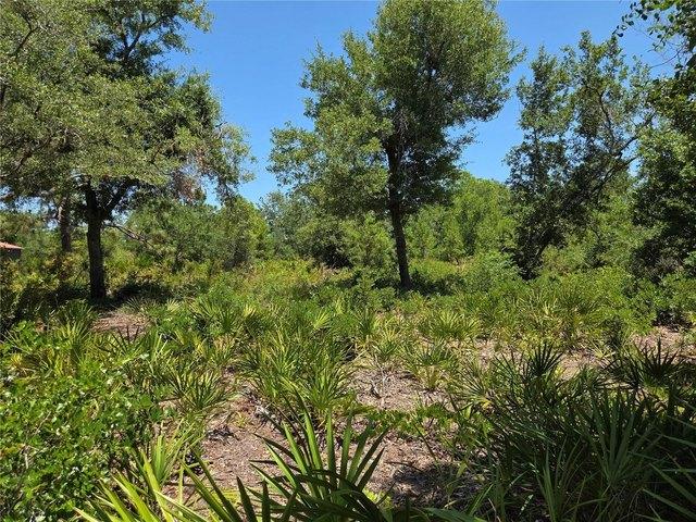 Land for sale in Punta Gorda, Florida