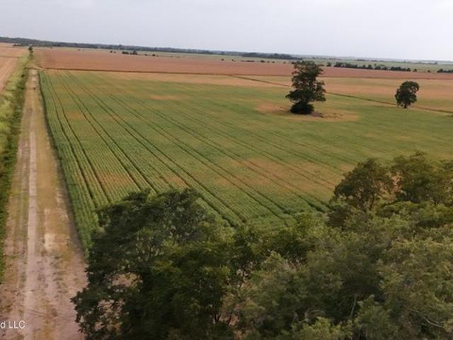 Land for sale in Tutwiler, Mississippi