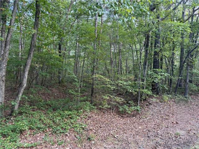 Property for sale in Menlo, Georgia