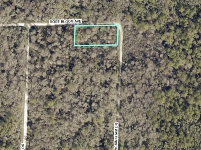 Land for sale in Webster, Florida