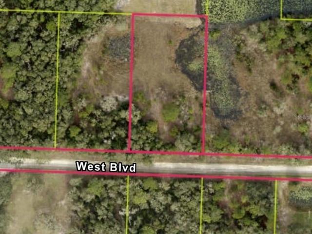 Land for sale in Webster, Florida