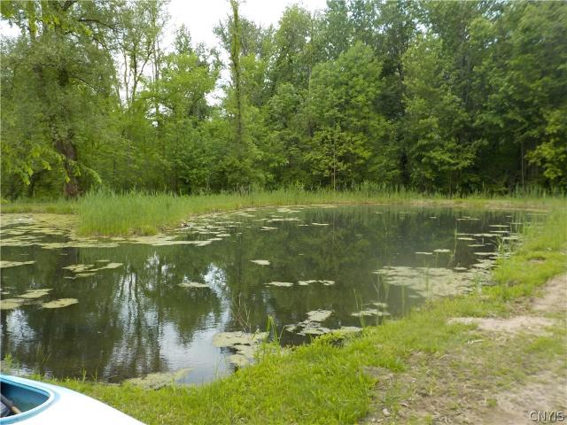 House for sale in Cayuga, New York