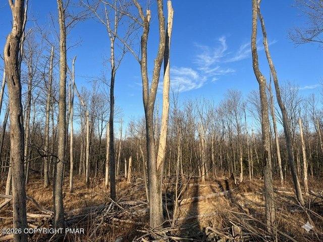 Land for sale in Cresco, Pennsylvania