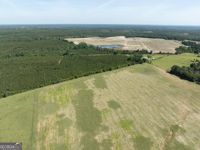 Land for sale in Alamo, Georgia