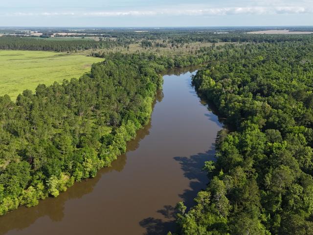 Land for sale in Bainbridge, Georgia