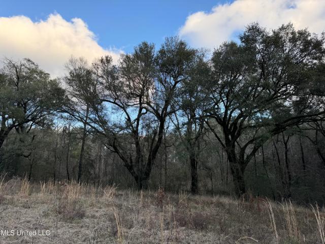 Land for sale in Poplarville, Mississippi