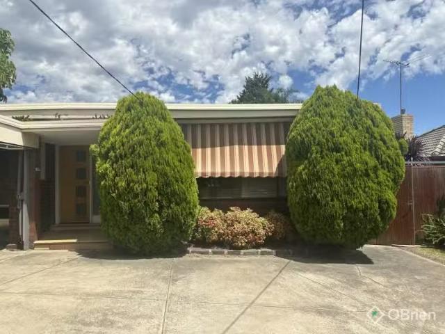 Apartment for rent in Surrey Hills