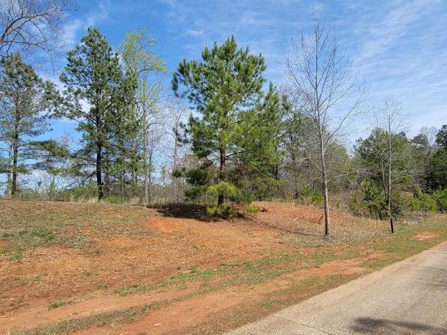 Land for sale in Toccoa, Georgia