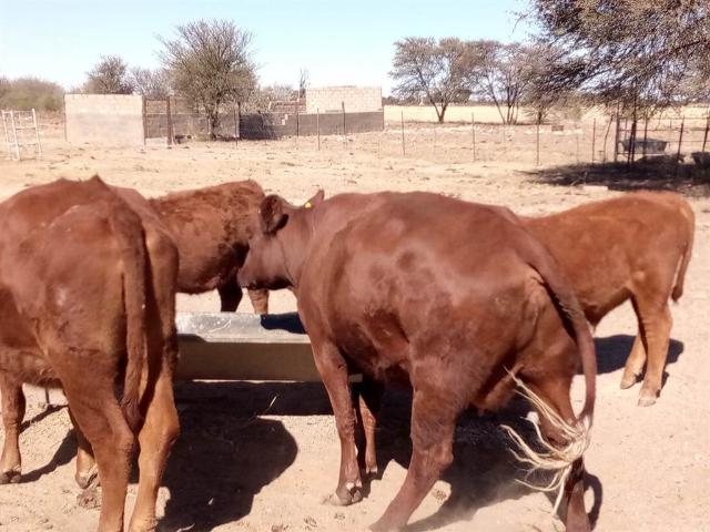 Farm for sale in Delareyville, North West