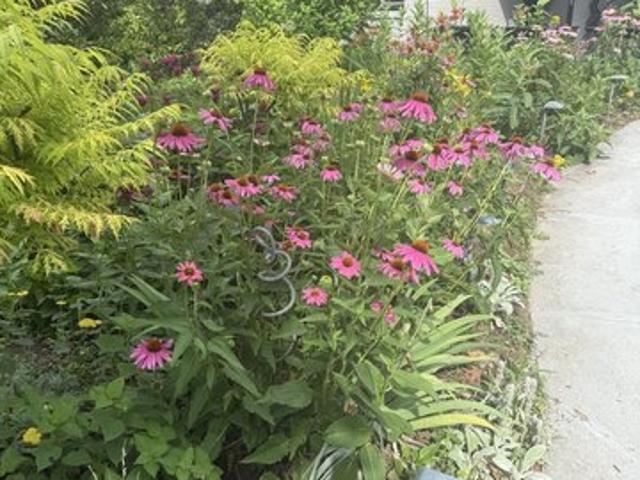 House for sale in State College, Pennsylvania