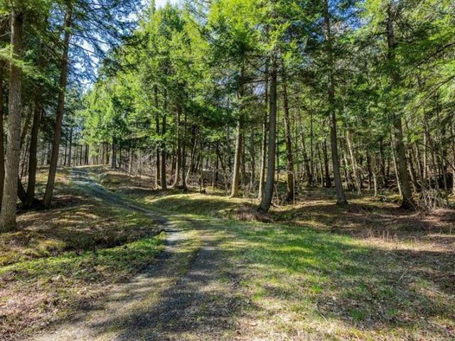 Land for sale in North Pomfret, Vermont