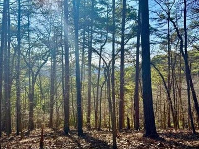Land for sale in Gordon, Georgia