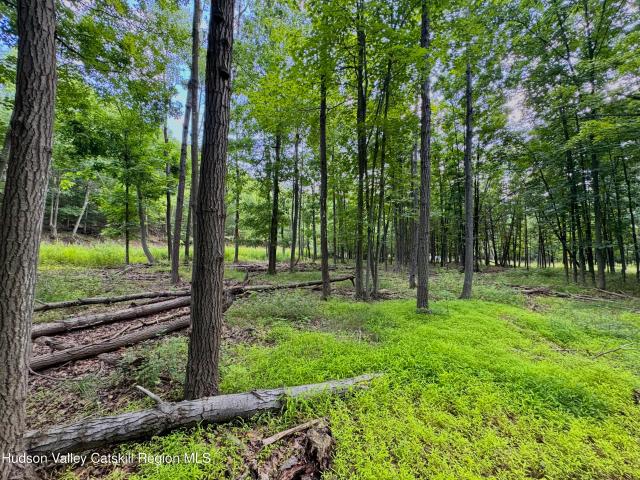 Land for sale in Acra, New York