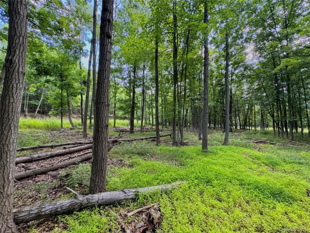 Land for sale in Acra, New York