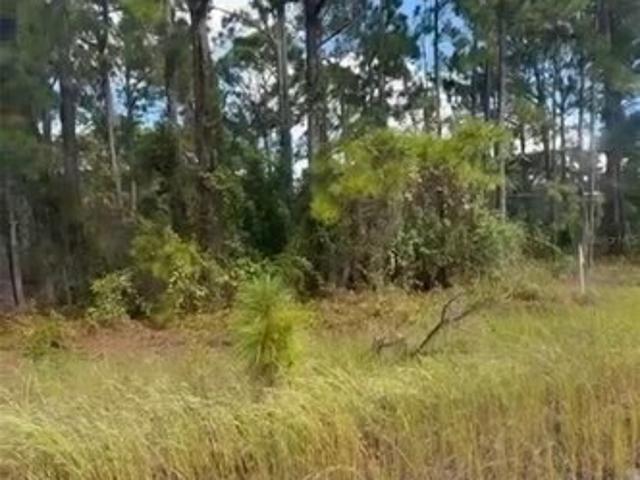 Land for sale in Lake Placid, Florida