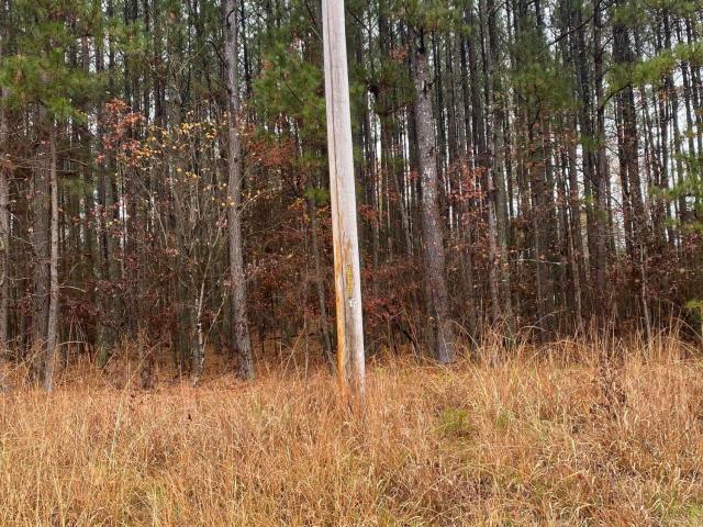 Land for sale in Durham, North Carolina