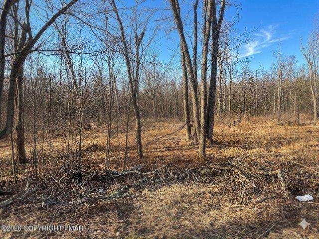 Land for sale in Cresco, Pennsylvania