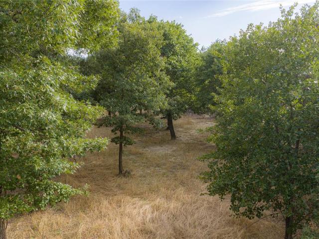 Land for sale in Eustace, Texas
