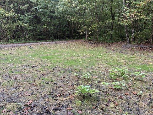 Land for sale in Shelbiana, Kentucky