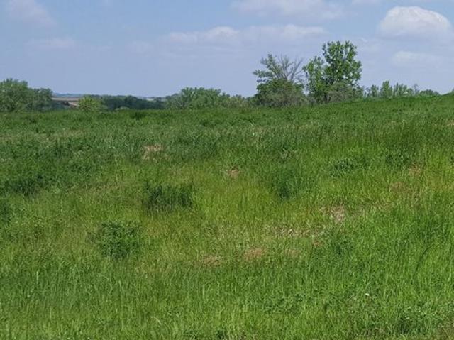 Land for sale in Missouri Valley, Iowa
