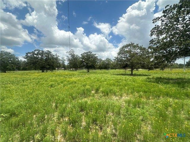 Land for sale in Flatonia, Texas