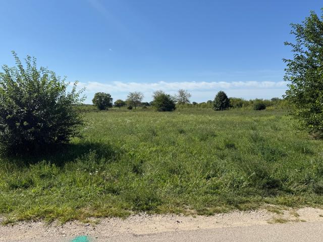 Land for sale in Morris, Grundy County