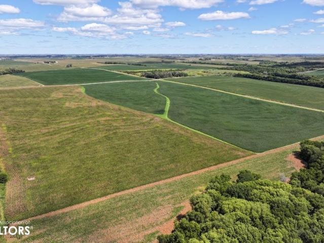 Farm for sale in Randolph, Iowa