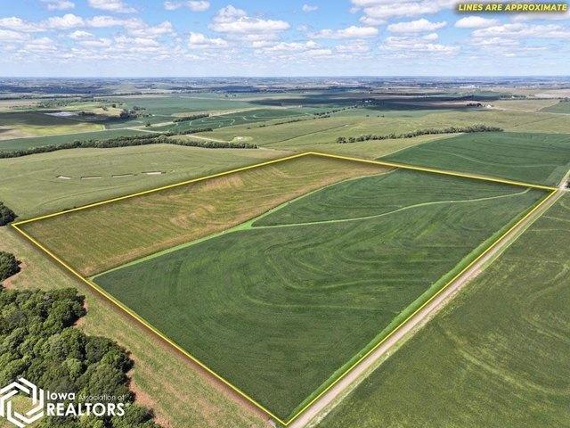 Farm for sale in Randolph, Iowa