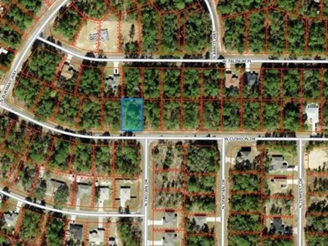 Land for sale in Florida