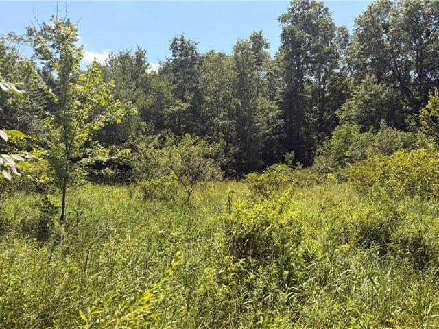 Land for sale in Southington, Ohio