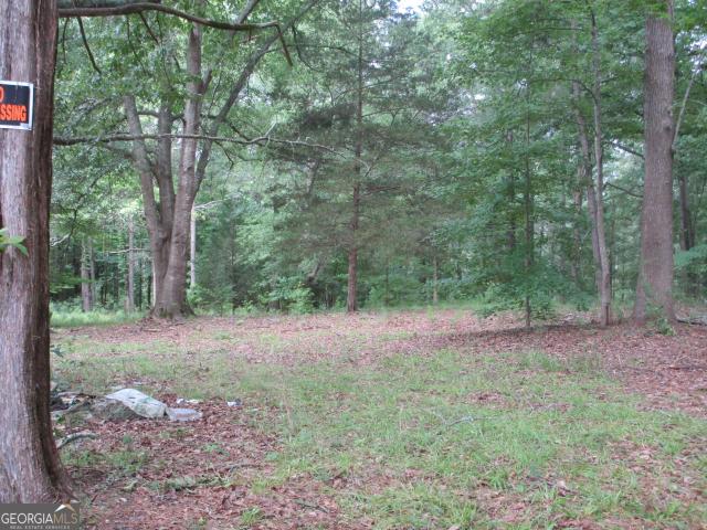 Land for sale in Spalding, Georgia