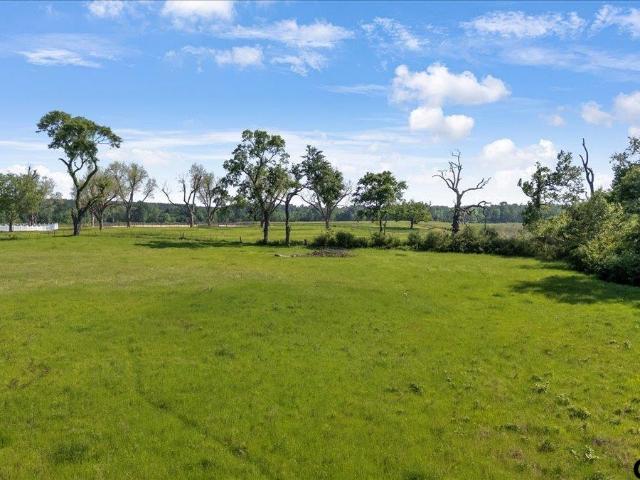 Land for sale in Troup, Texas
