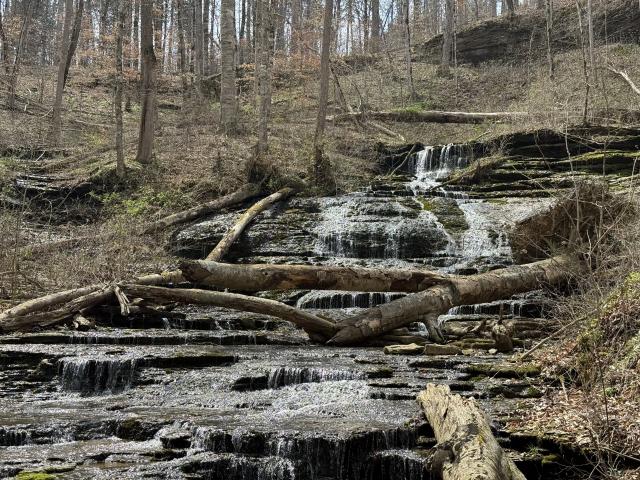 Farm for sale in Tennessee
