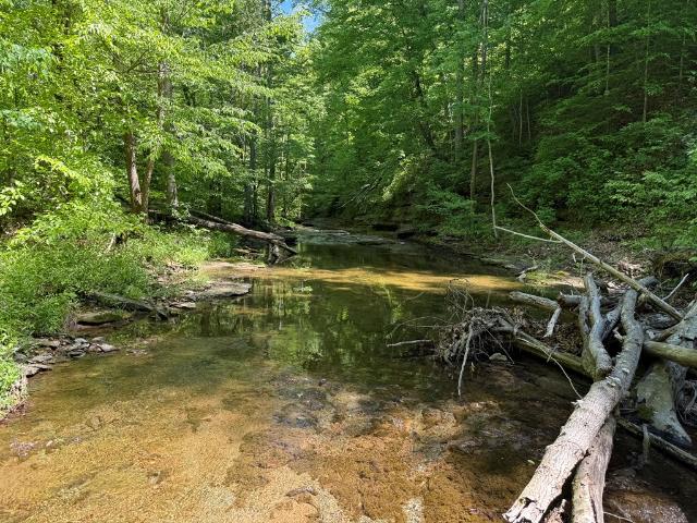 Land for sale in Tennessee