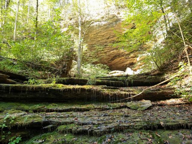 Farm for sale in Tennessee