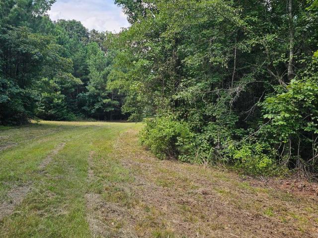 Land for sale in Union, South Carolina